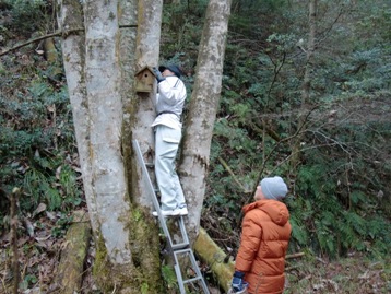 愛鳥林で鳥の巣箱を清掃